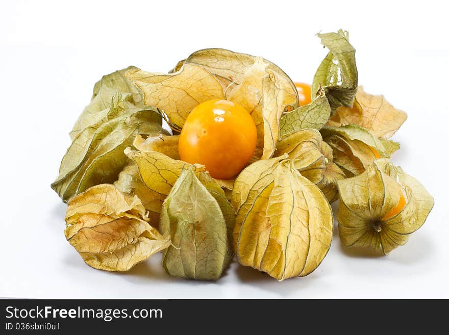 Physalis fruit isolated on white