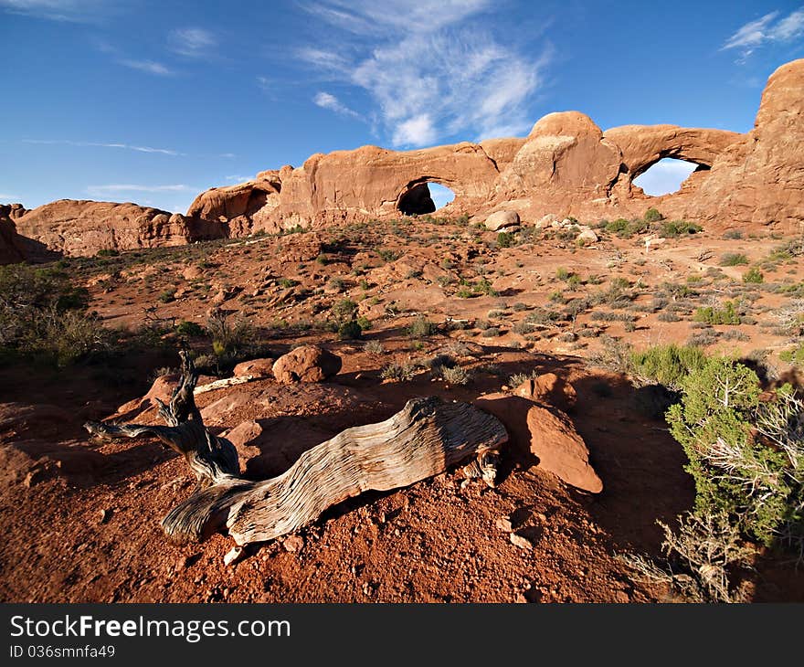 Strange rock formations at Arches National Park, USA