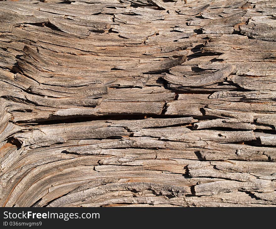 Dryed wood texture close up image background