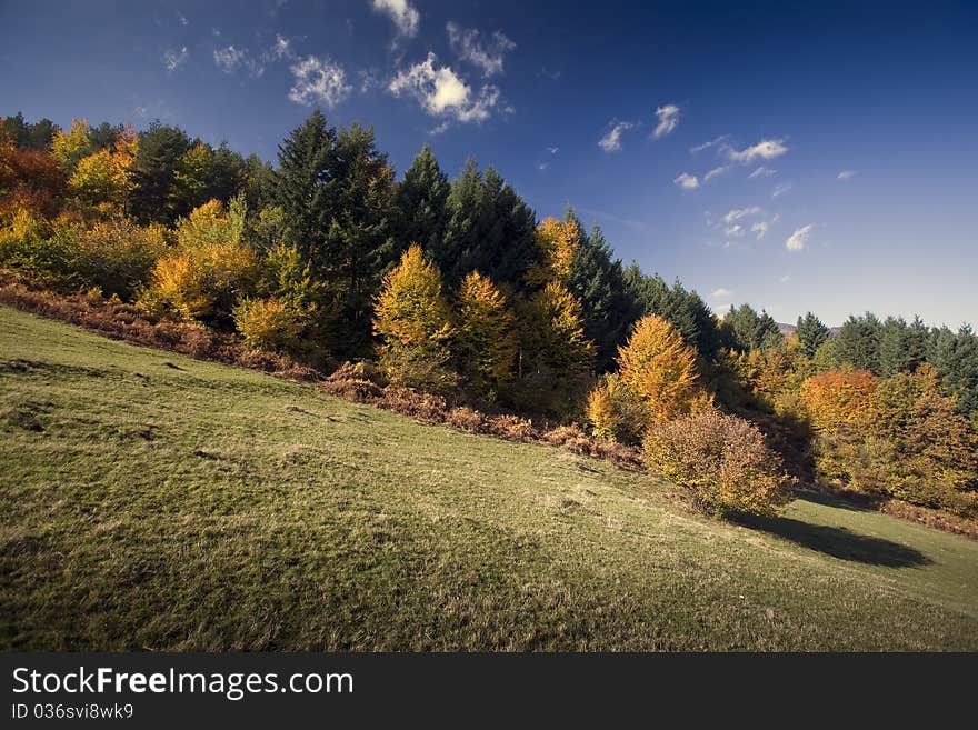 Autumn Landscape