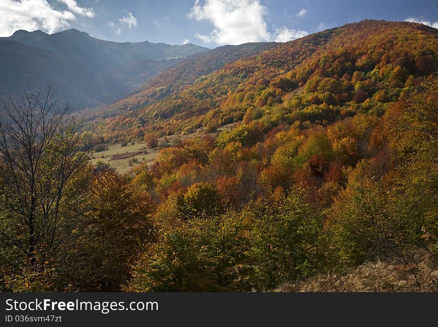 Beautiful landscape of colorful sunlit autumn forest. Beautiful landscape of colorful sunlit autumn forest