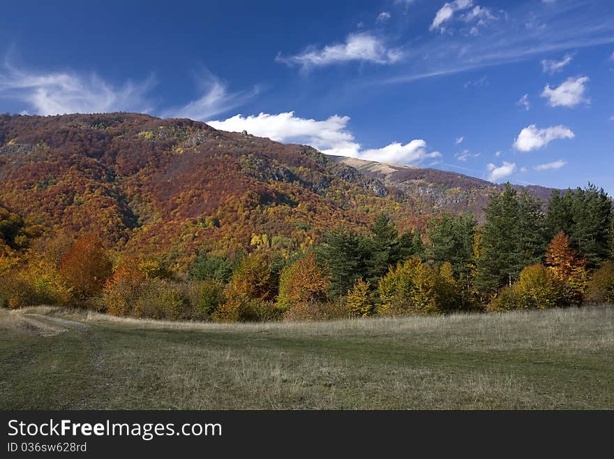 Beautiful landscape of colorful sunlit autumn forest. Beautiful landscape of colorful sunlit autumn forest