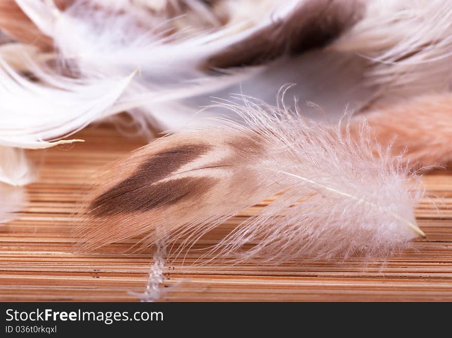 A heap of soft feathers on a straw background