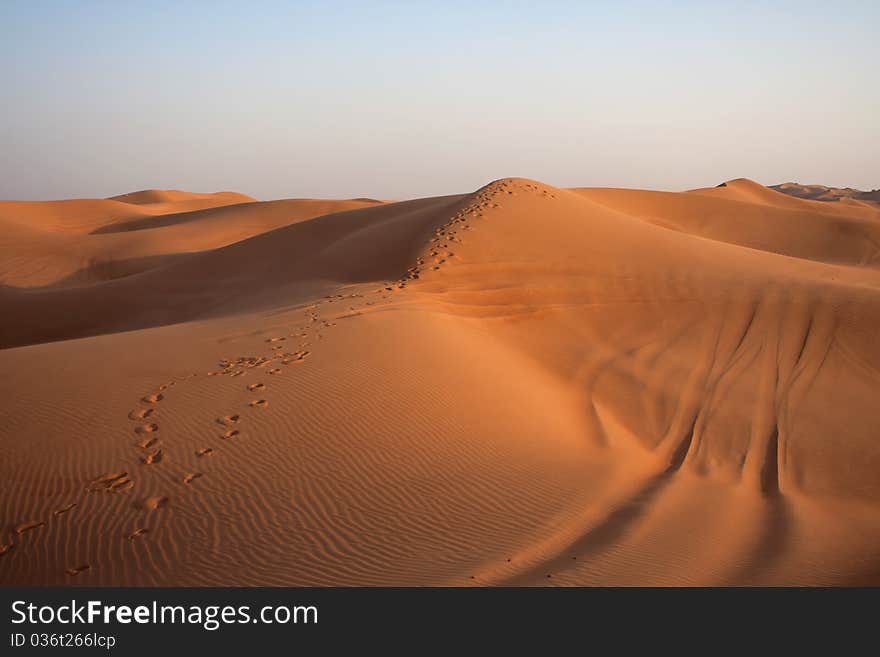 The sand dunes in the eastern desert