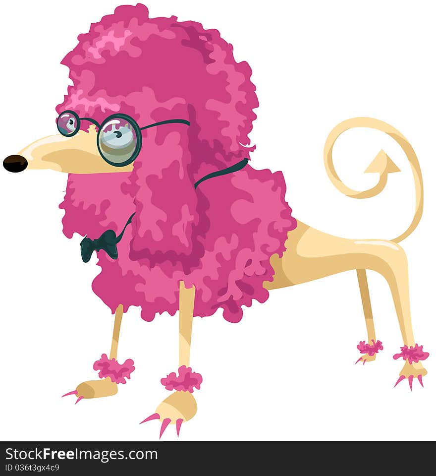 Poodle