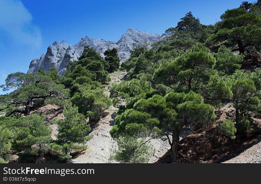 Novyi Svet - village in Crimea, Ukraine