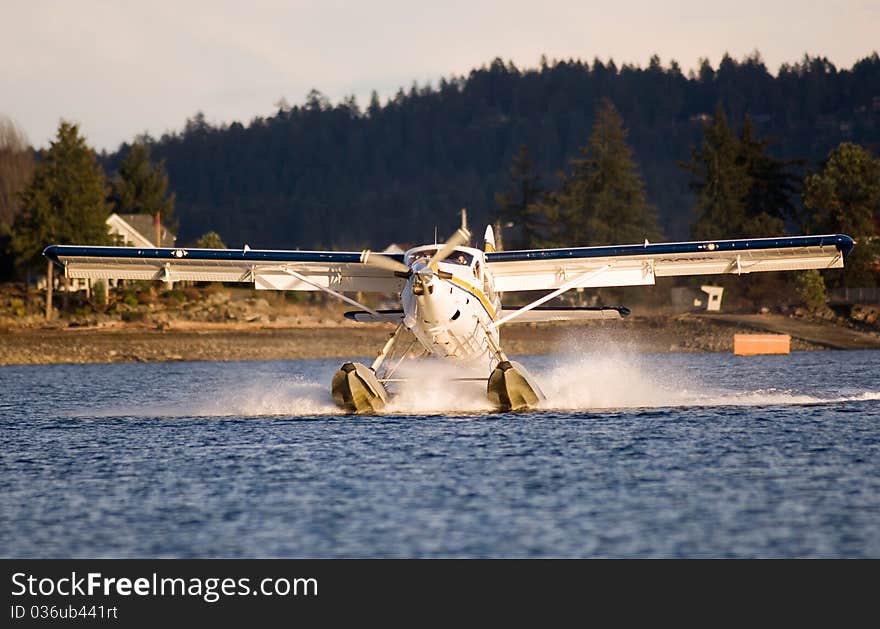 Single Otter float plane lading in harbor. Single Otter float plane lading in harbor