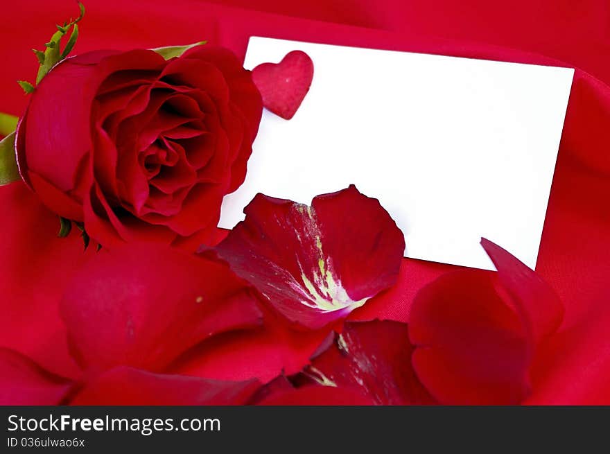 Call Valentine's Day with rose petals and a rose on red background. Call Valentine's Day with rose petals and a rose on red background