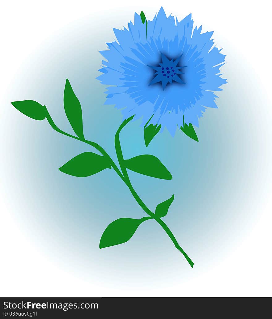 Blue Flower Illustration