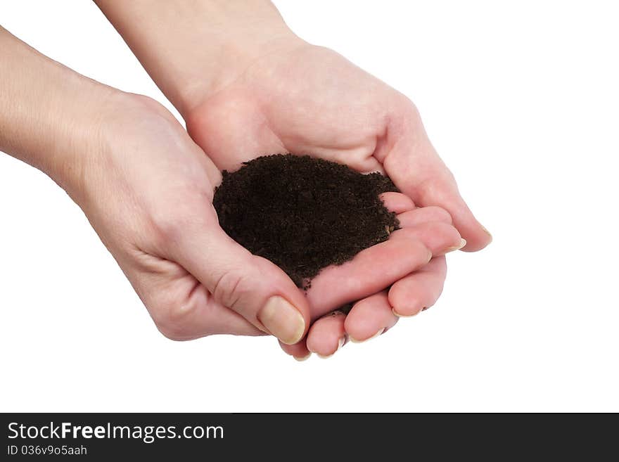 Hands Holding Humus Soil