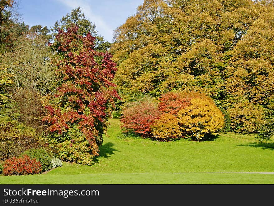 Autumn Colours in an English Park