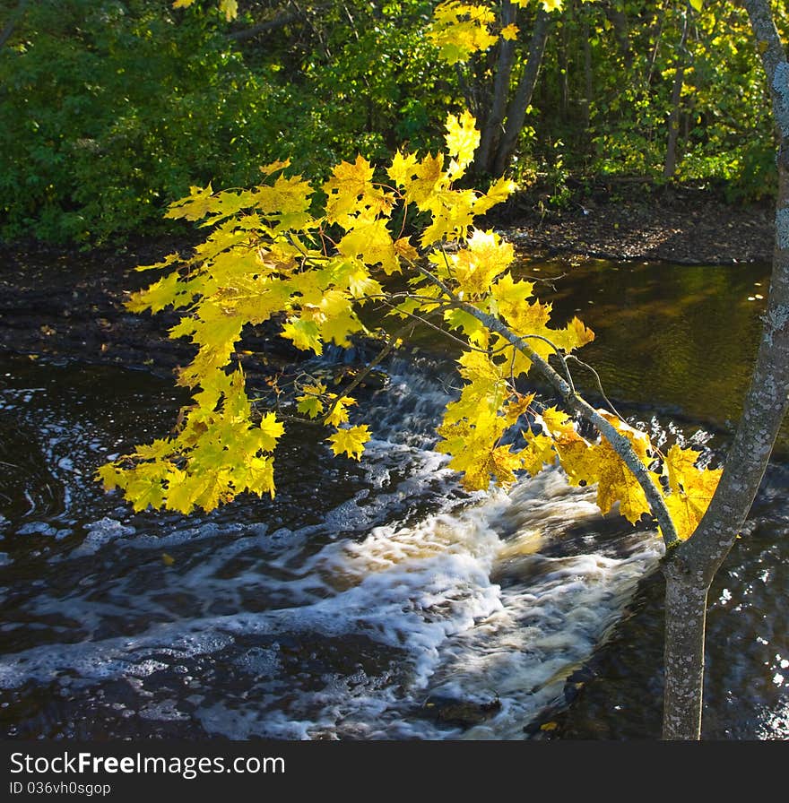 Maple River in the background