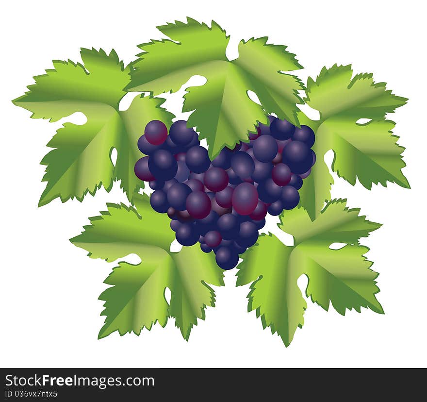 Grape brush