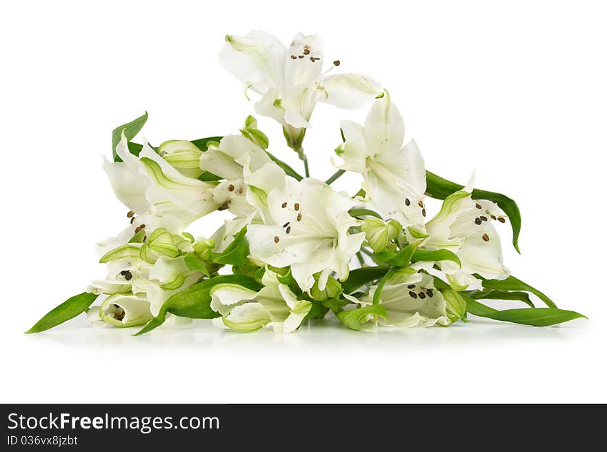 Bunch of alstroemeria isolated on white background