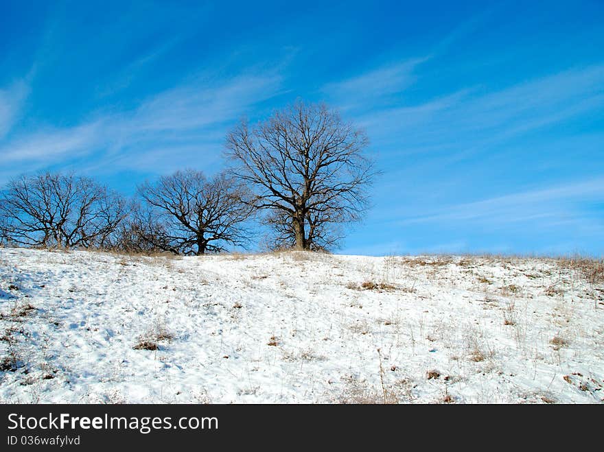 Winter day