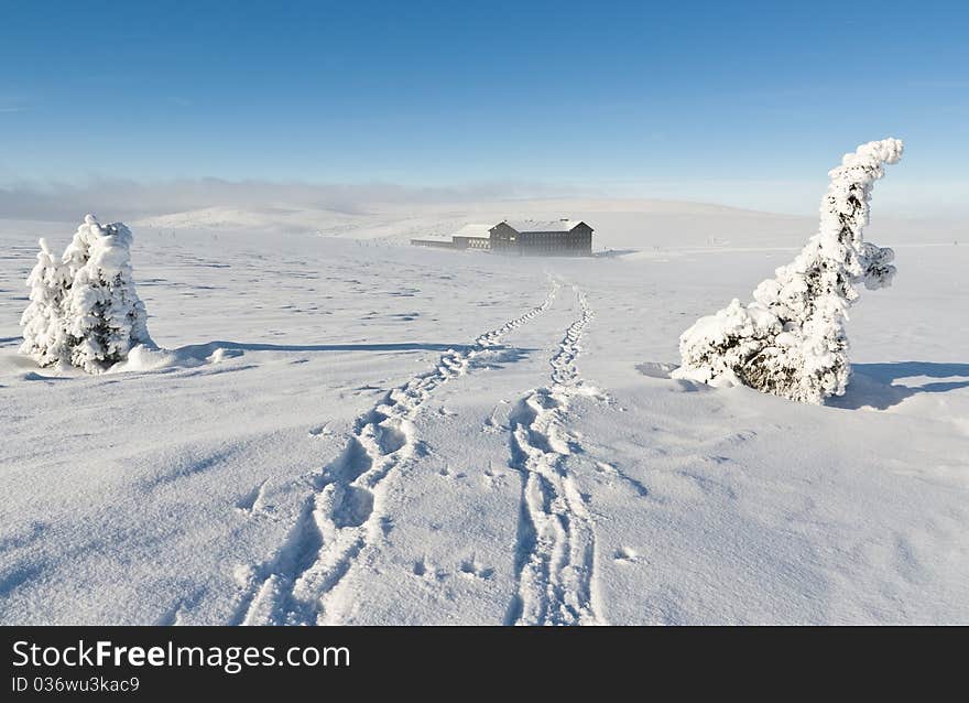 Winter landscape