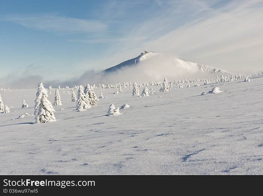 Winter landscape