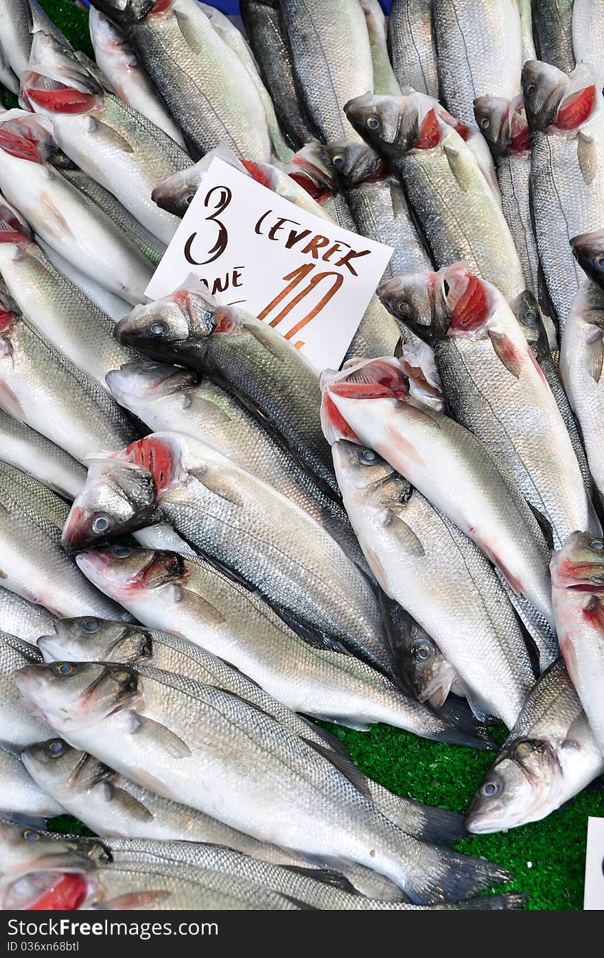 Photo of fresh fish at the Fish Market