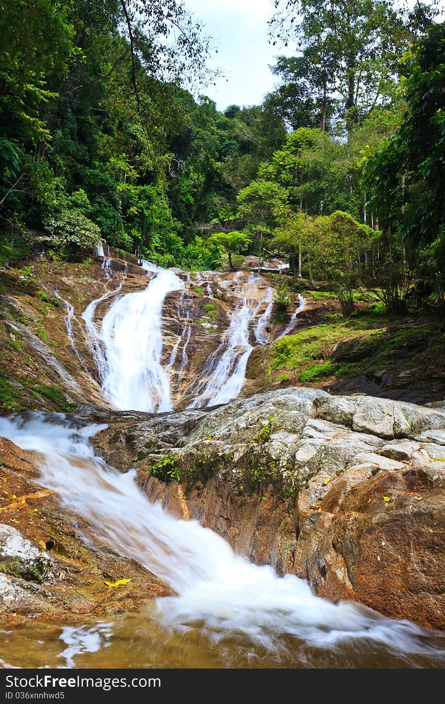 Water fall in a tropical rain forest. Water fall in a tropical rain forest