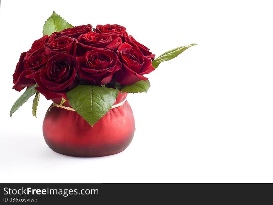 Beautiful roses in the red pot over white background. Beautiful roses in the red pot over white background