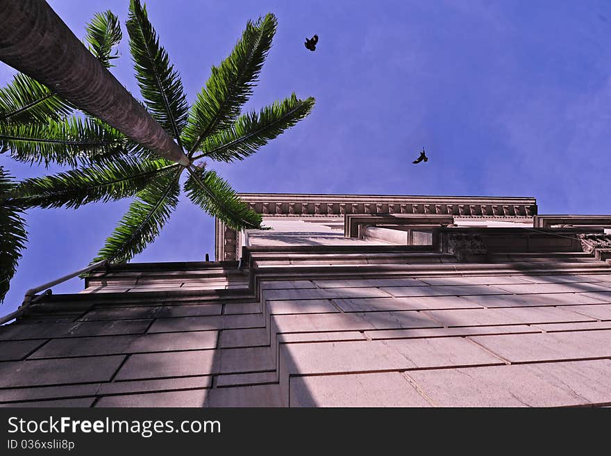 Historical building , birds