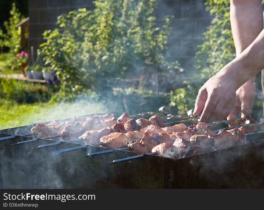 Toasted  shashlick on skewers