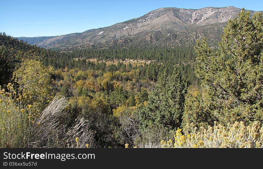 View of Sugarloaf Mountain in the San Bernardino National Forest near Los Angeles. View of Sugarloaf Mountain in the San Bernardino National Forest near Los Angeles