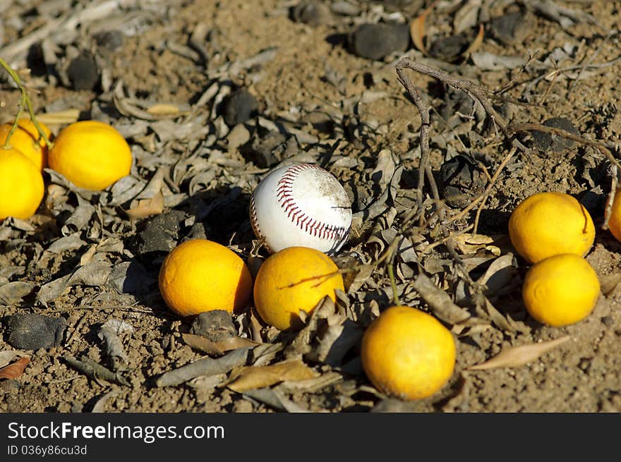 Baseball ball and oranges on a ground