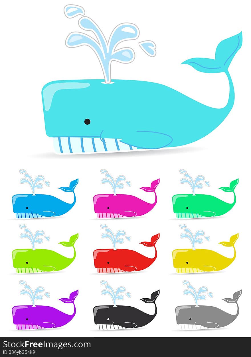 Color whale isolated on white