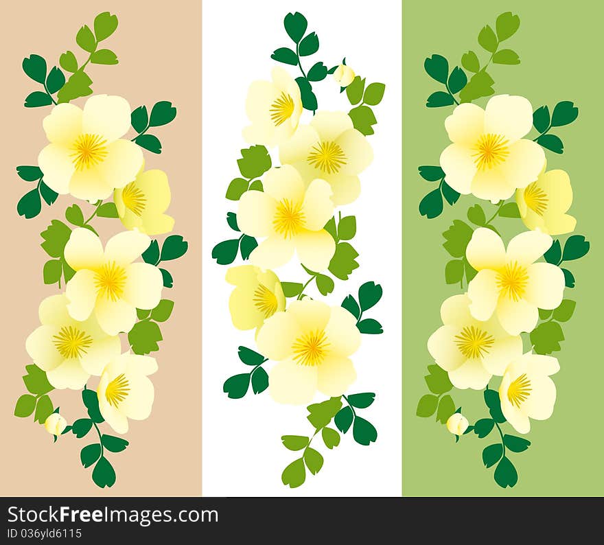 Drawing of Three flower background. Drawing of Three flower background