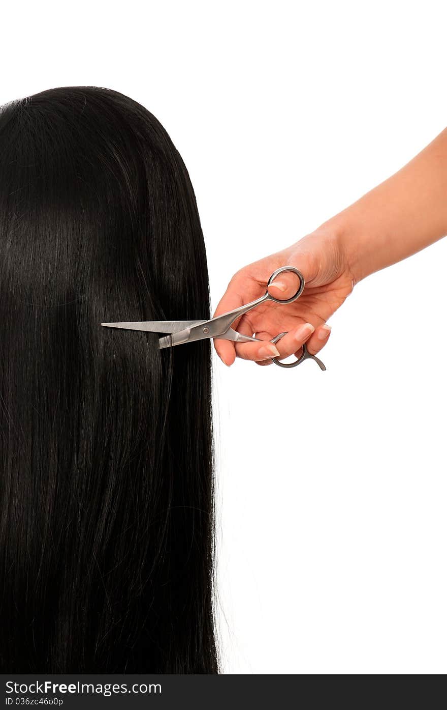 Hairdresser cutting young woman with long black hair. Hairdresser cutting young woman with long black hair