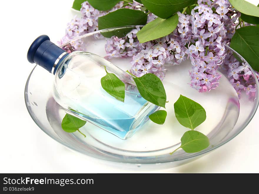 Bottle of spirits and pink lily on a white background. Bottle of spirits and pink lily on a white background