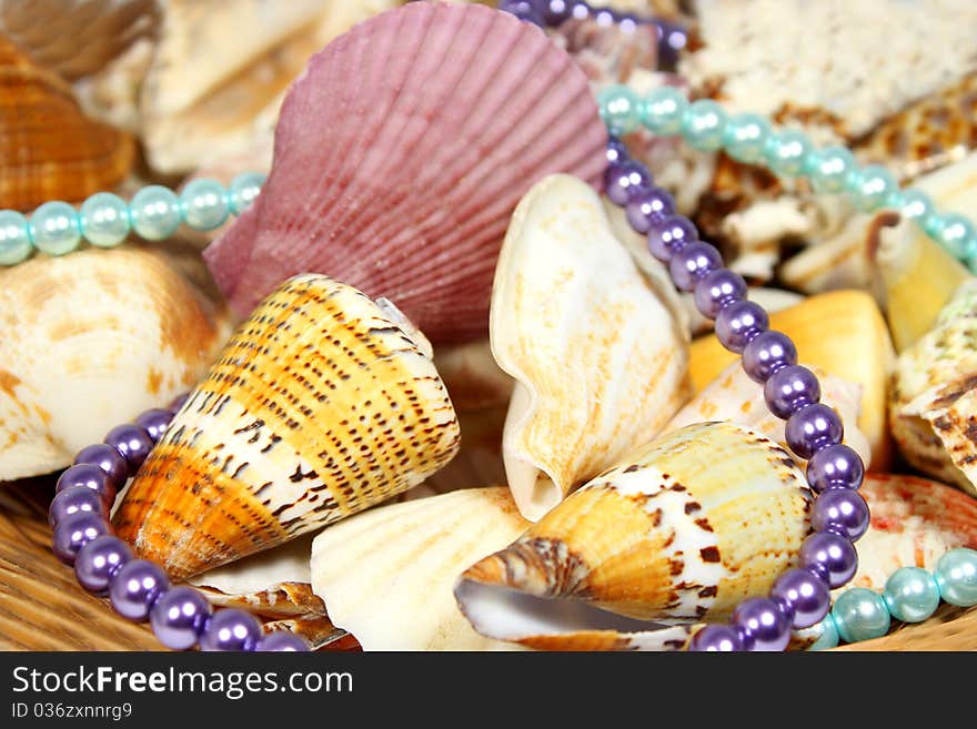 Sea ​​shells and beads