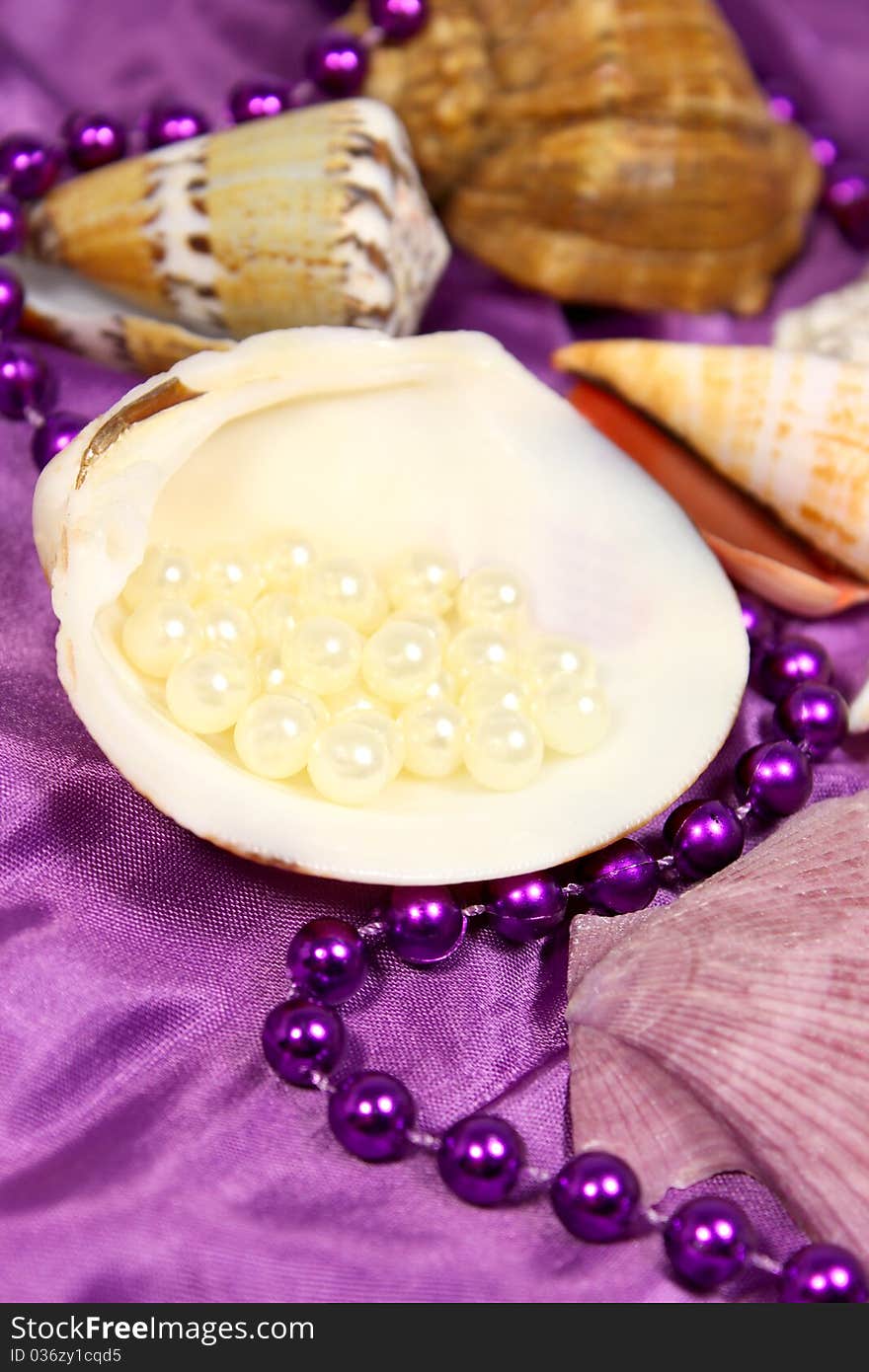 Sea ​​shells and beads with pearls