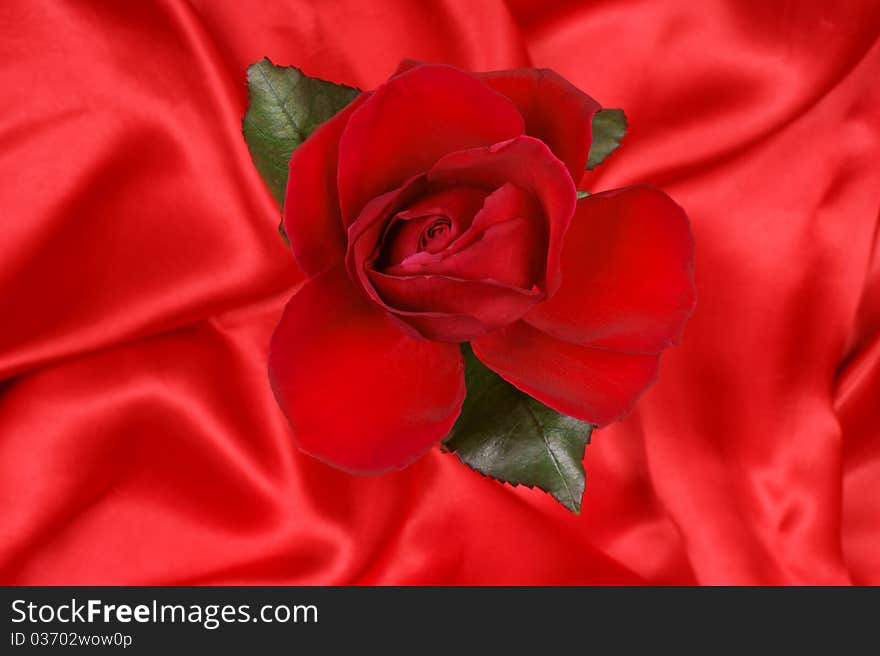 Beautiful red rose over a red silky fabric background