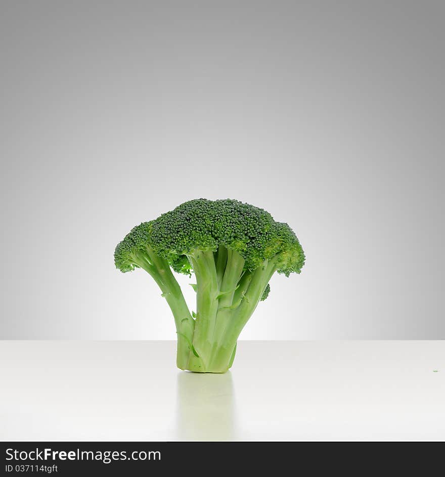 Broccoli vegetable standing on a white shiny table isolated on white background.