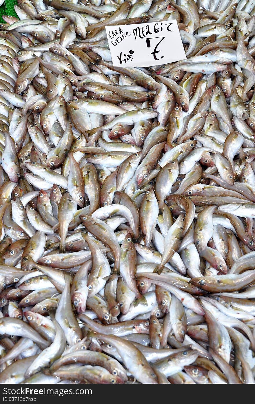 Photo of fresh fish at the Fish Market