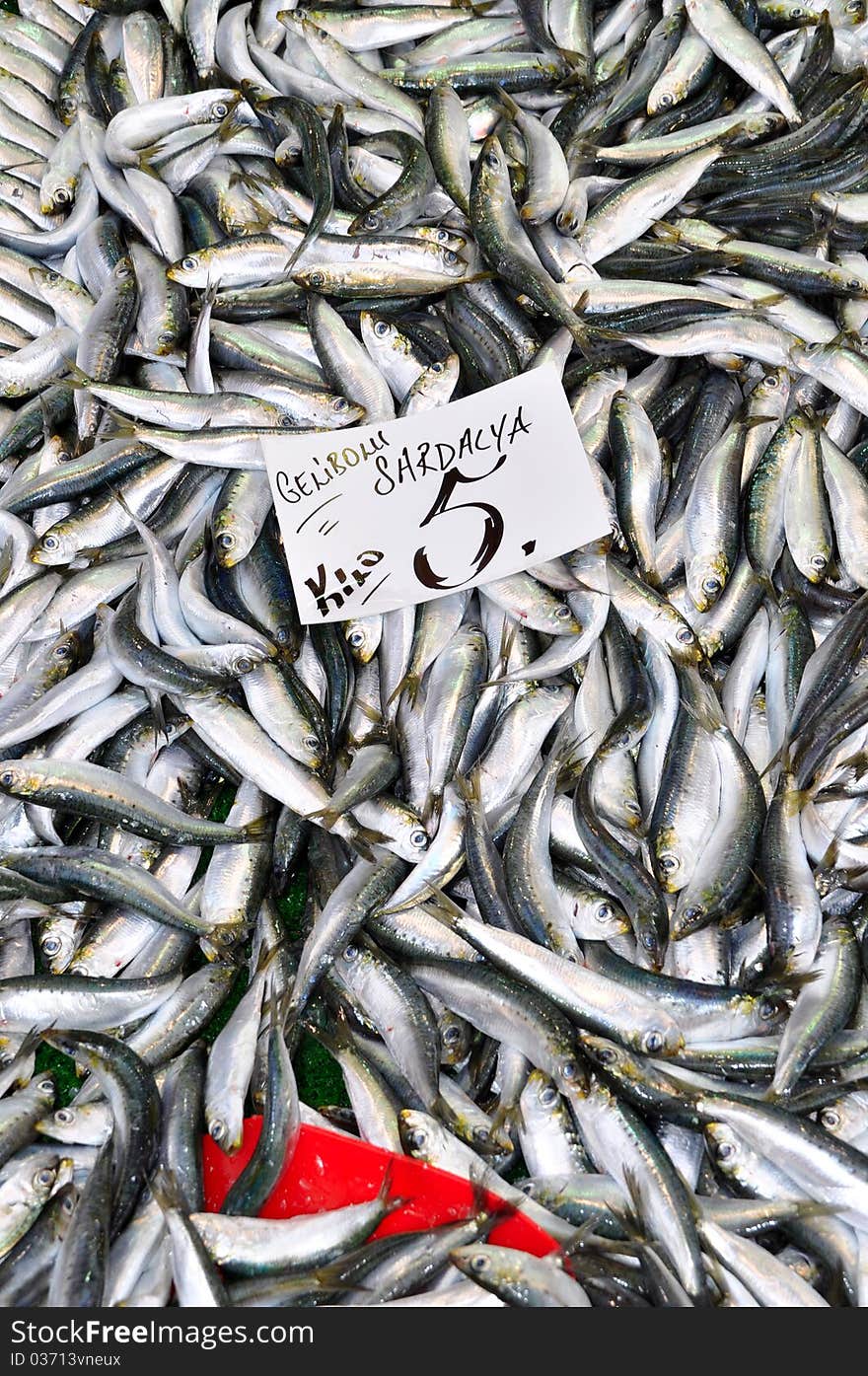 Photo of fresh fish at the Fish Market