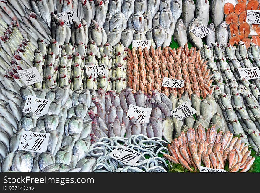 Photo of fresh fish at the Fish Market