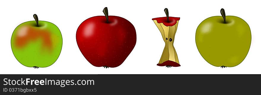 Apple core and three different varieties of apples. Apple core and three different varieties of apples.