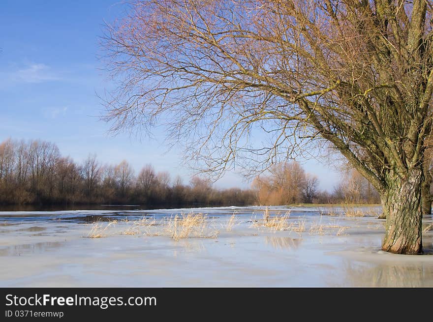 Snow river.softly nature composition.