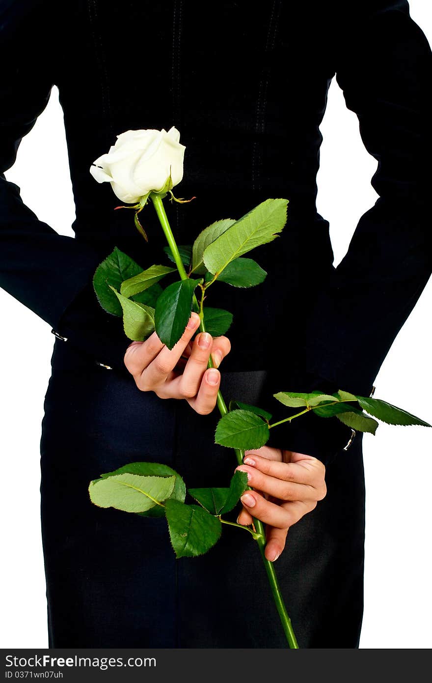 Girl in black with white rose. Isolated on white.