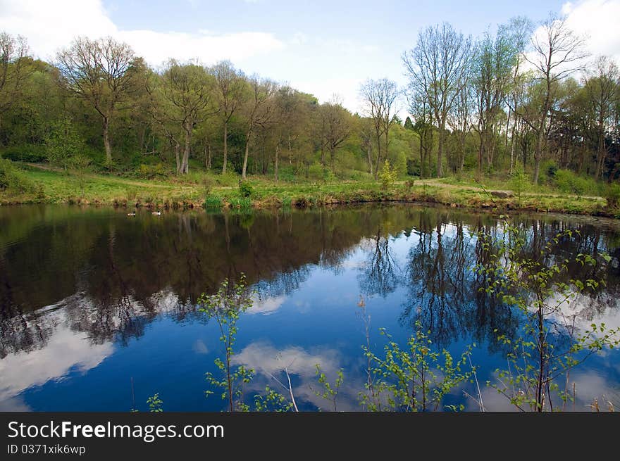 Images In The Lake