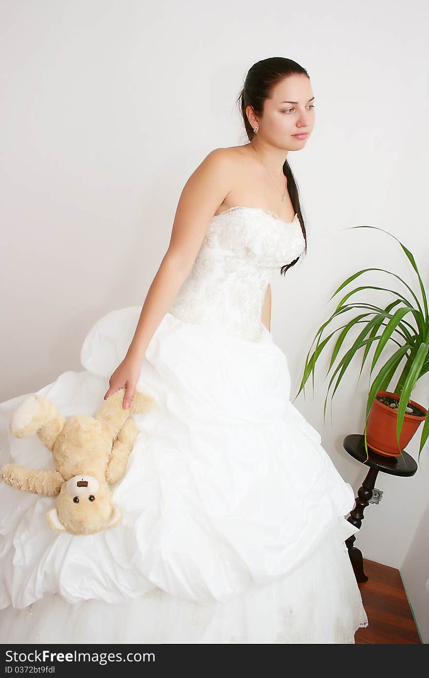 Beautiful young bride with long brown hair