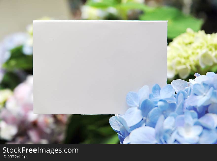 Paper blank with flowers in garden