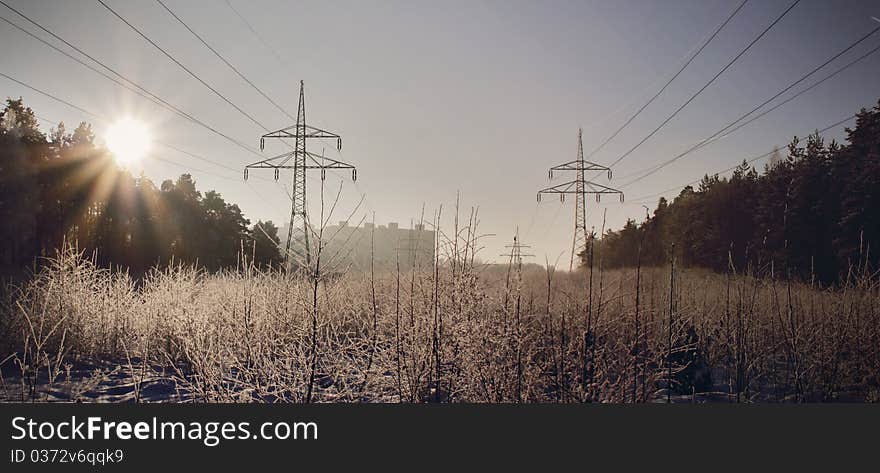 Winter meadow with power lines in the Czech forest