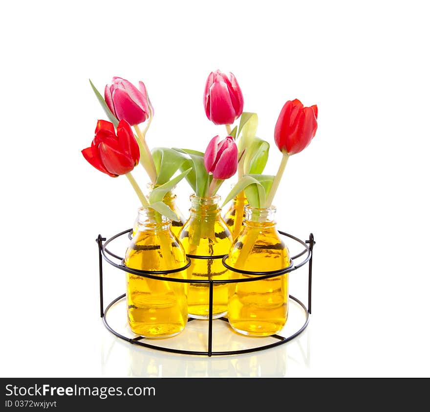 Pink and red tulips in little glass vases with yellow liquid in an iron black rack isolated over white