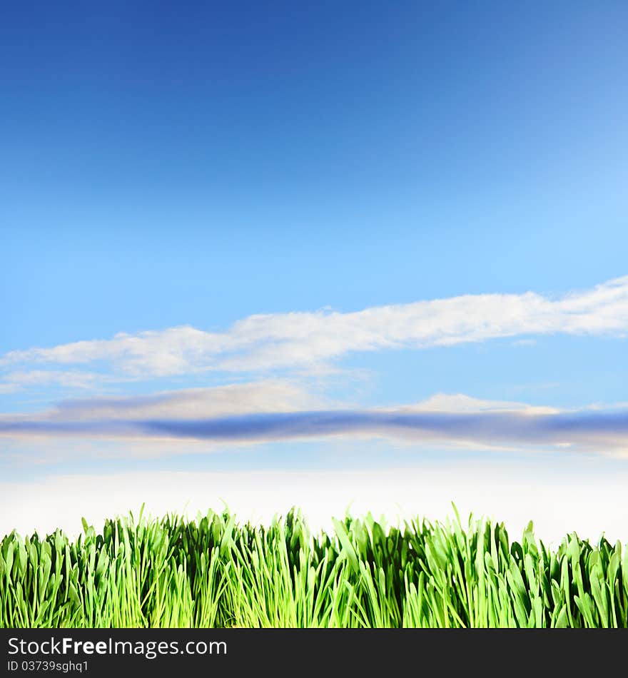 Green grass under the blue sky