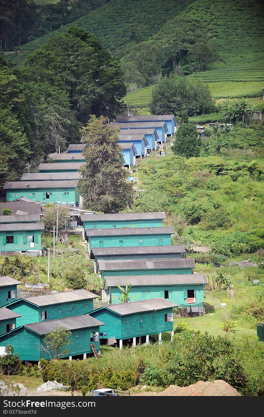 Rural residential area