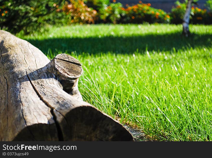 Relaxing outdoors on the wooden trunk